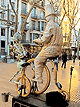 La Rambla