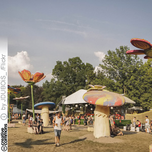 Sziget (CC License: Attribution 2.0 Generic)
