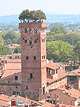 Luca