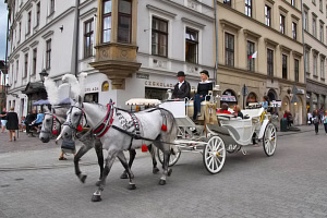 Hevosvaunut ulica Grodzkalla