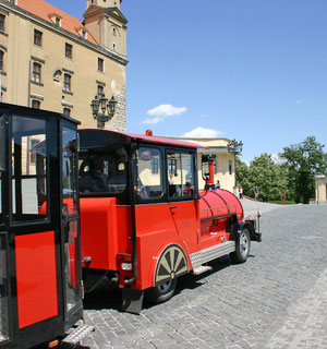 Nähtävyysjuna