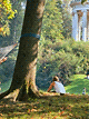 Englisher Garten