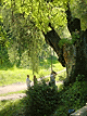 Toompark