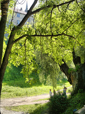 Toompark