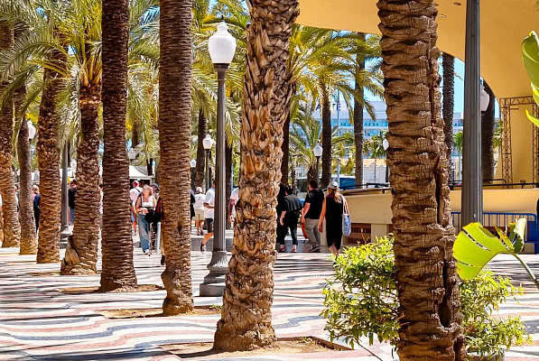 alicante-n-ht-v-tekemist-ja-k-yt-nn-n-vinkkej-pieni-matkaopas