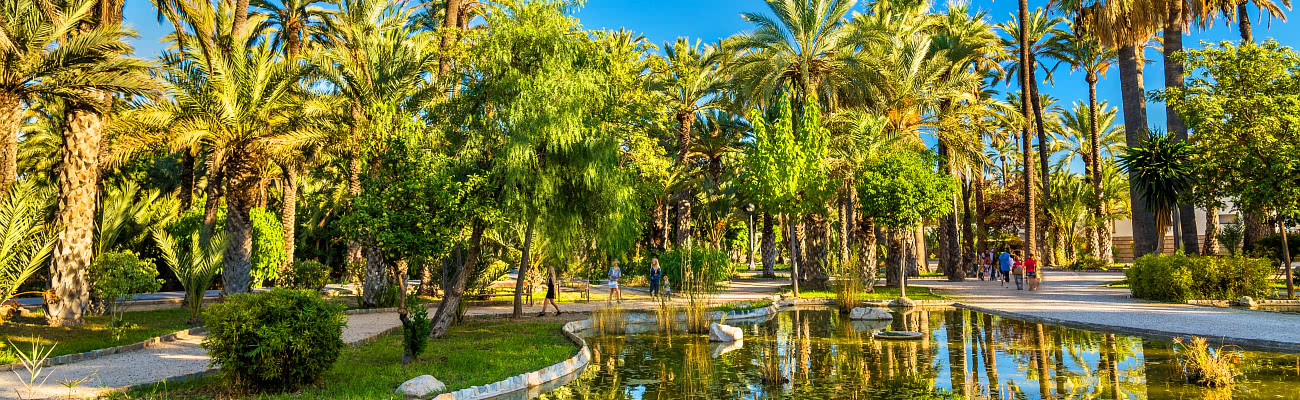 Palmeral, Elche