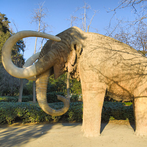 Mammutti Parc de la Ciutadella -puistossa