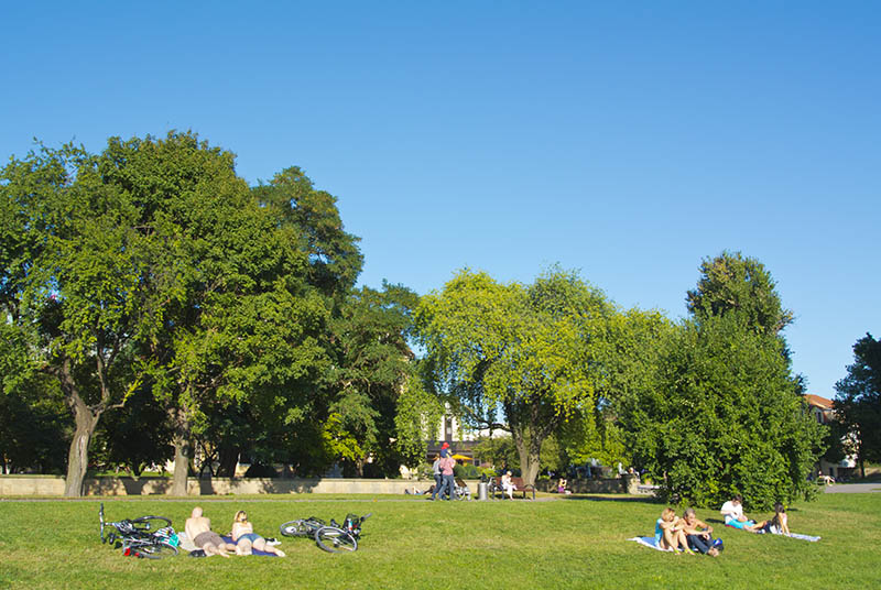 Kuvituskuva