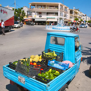 Kasviksia autosta