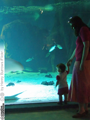 Lanzarote Aquarium (CC License: ShareAlike 2.0 Generic)