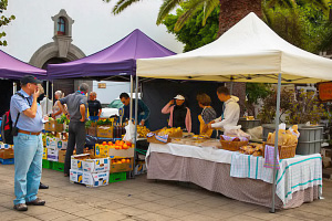 Mercado Turistico, Arrecife