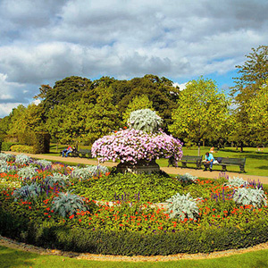 Regent's park