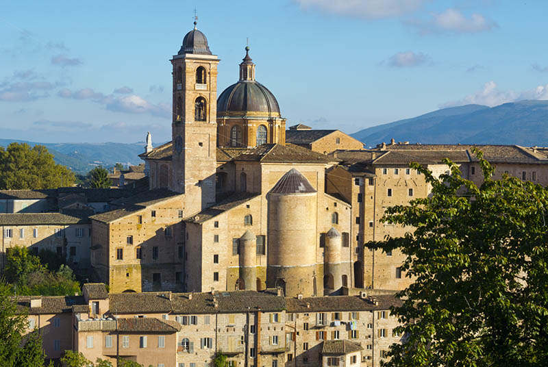 Urbino