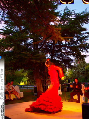 Flamencoa Madridissa (CC License: Attribution-ShareAlike 2.0 Generic)