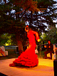 Flamencotanssija