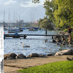 Zurich-järven rantaa
