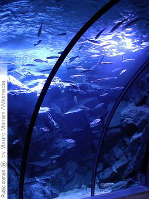 Acquario Civico (License: Public Domain)