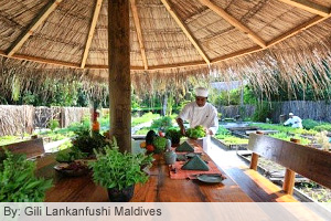 Gili Lankanfushi Maldives