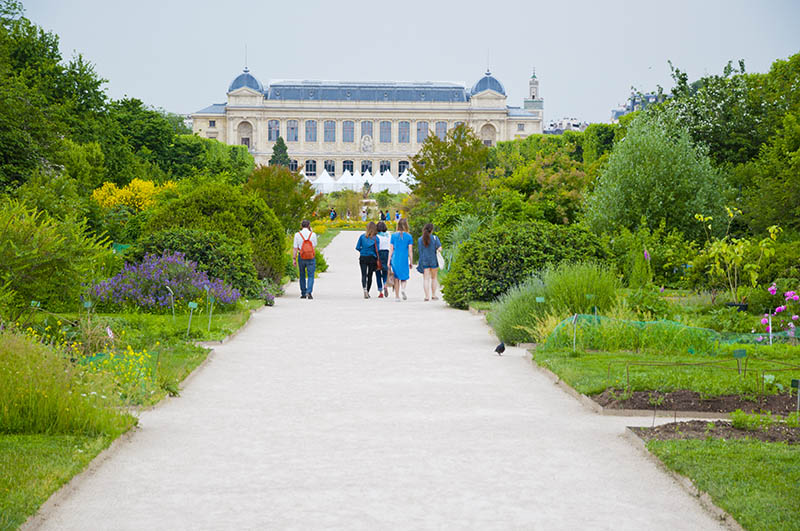 Kuvituskuva