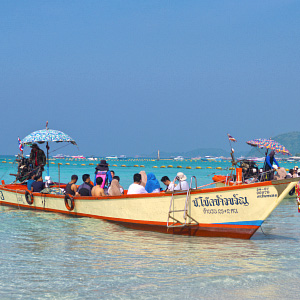 Pitkähäntäveneitä Pattayalla (neliökuva)