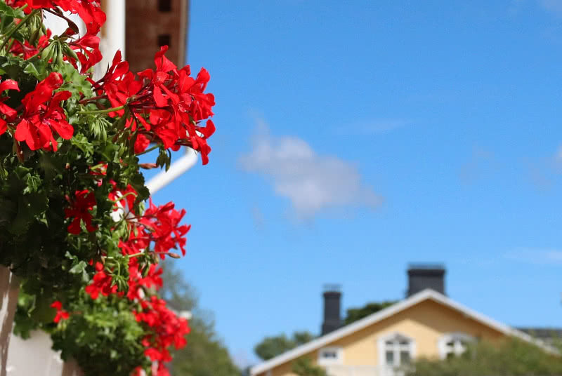 Kuvituskuva (täyskuva)