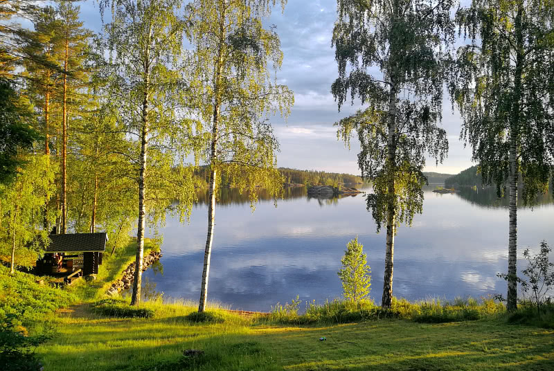aisema Puumalasta, Suomi (tyskuva)