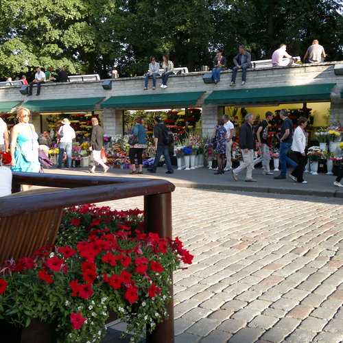 Kolmas lukijakuva viikolle 6