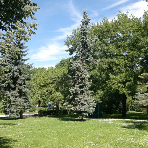 Ensimm�inen lukijakuva viikolle 52