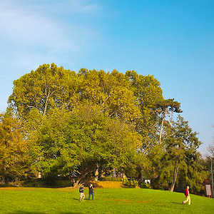 Parco del Valentino