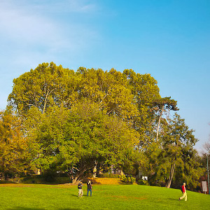 Parco del Valentino