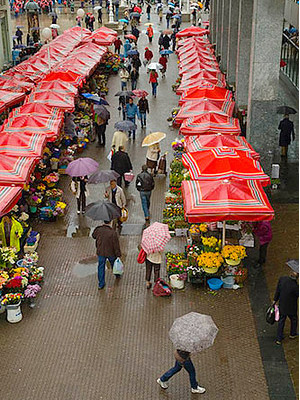 Sateinen Zagreb